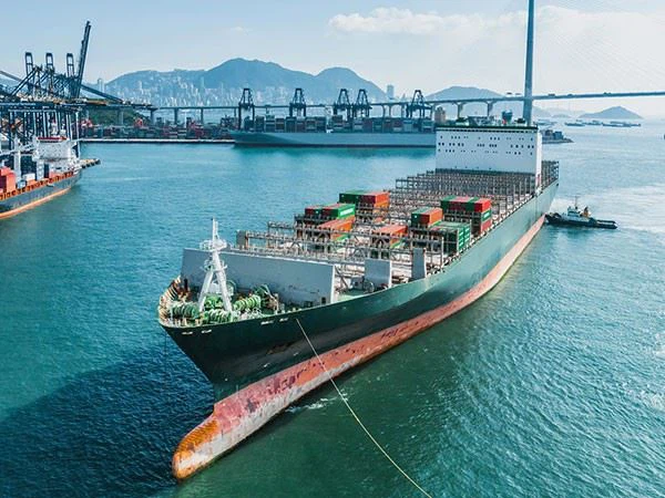 Sea Freight Forwarder DDP China To Southeast Asia suppliers